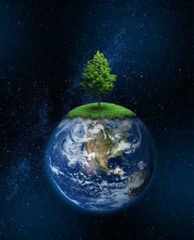 Lone tree growing on planet Earth, global warming climate change concept