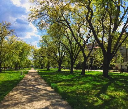 Sunny alley in the city park in spring, nature and outdoor landscape scenery