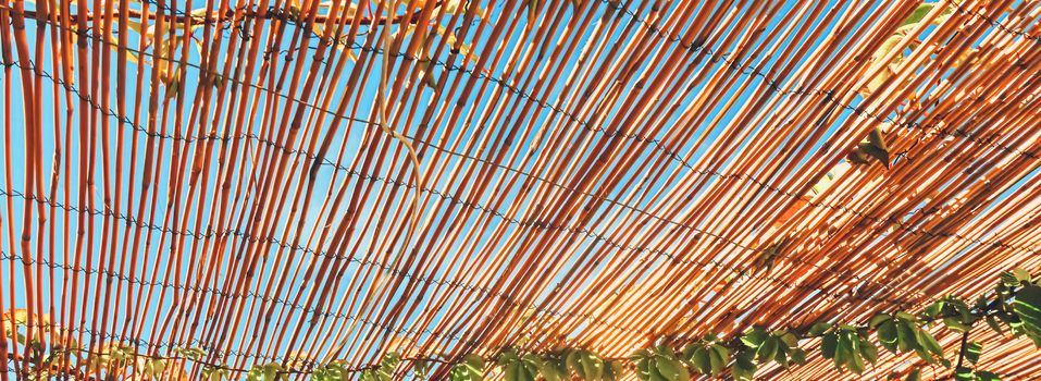 Wooden roof on the beach, nature and design