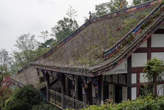 Vegetation growing on the roof of an old building in the mountain in QingChengShan, Sichuan Province, China
