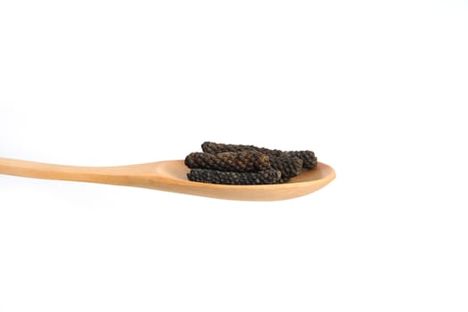 Dried Piper retrofractum, the Balinese long pepper or Javanese long pepper on wooden spoon, isolated in white background.