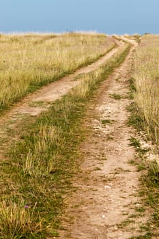 Summer landscape with yellow grass and road 