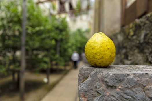 Limone, Lake Garda, Italy, Europe, August 2019, the Limonaia del Castel