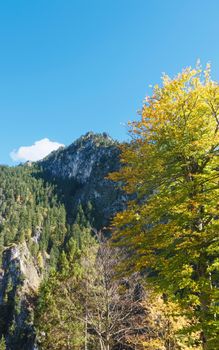 Beautiful nature of European Alps, landscape view of alpine mountains, lake and village on a sunny day, travel and destination scenery