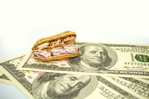 Peanuts placed on dollar bills on a white background. Business ideas related to peanuts