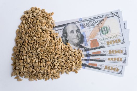 peeled sunflower seeds with hundred dollar on white background