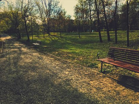 Empty bench in park during a city lockdown in coronavirus pandemic, outdoors and social issue