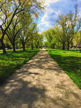 Sunny alley in the city park in spring, nature and outdoor landscape scenery