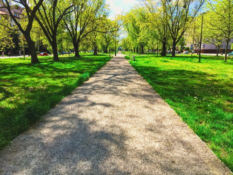 Sunny alley in the city park in spring, nature and outdoor landscape scenery