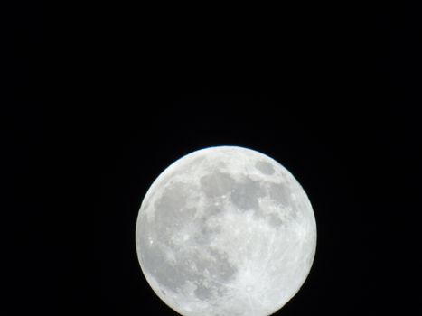 Beautiful caption of the moonlight over the village in winter days with some trees and leaves in the background by night and by day.