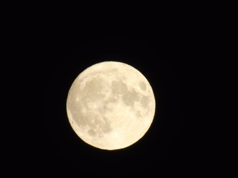 Beautiful caption of the moonlight over the village in winter days with some trees and leaves in the background by night and by day.