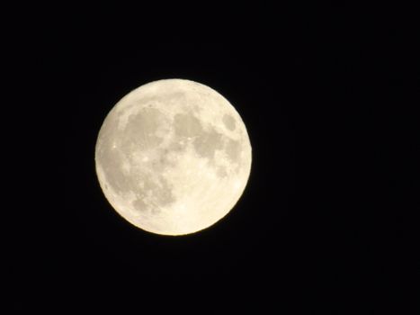 Beautiful caption of the moonlight over the village in winter days with some trees and leaves in the background by night and by day.