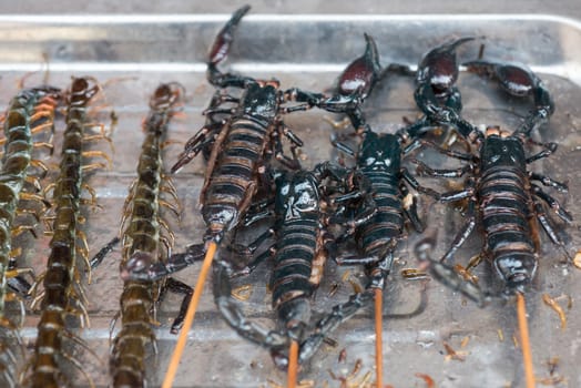 Scorpios on sticks in a chinese market, Chengdu, China