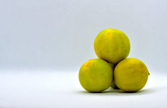 The lemon, Citrus limon, is a species of small evergreen tree in the flowering plant family Rutaceae, native to South Asia, primarily North eastern India. Its fruits are round in shape.