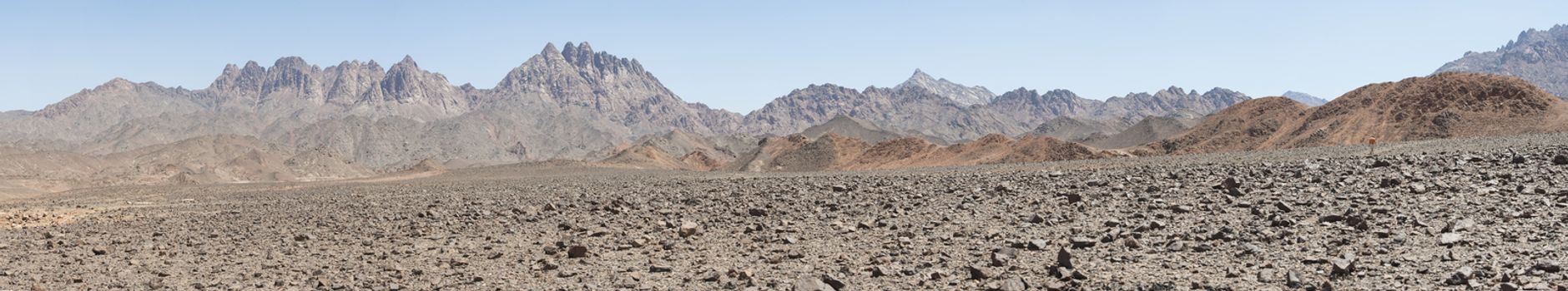 Rocky mountain slope landscape in an arid desert environment