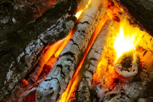 Burning firewood in the woods in the evening
