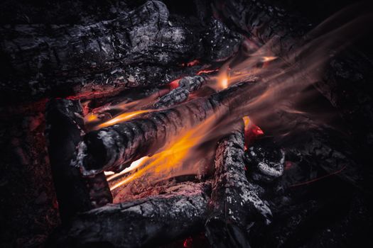 Burning firewood in the woods in the evening