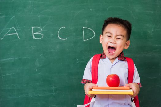 Back to School. Happy Asian funny cute little child boy from kindergarten in student uniform with school bag holding red apple on books smile on green school blackboard, First time to school education