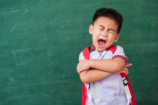 Back to School. Happy Asian funny cute little child boy from kindergarten in student uniform with school bag stand smile crossed arm on green school blackboard, First time to school education concept