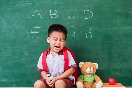 Back to School. Happy Asian funny cute little child boy kindergarten preschool in student uniform with school bag, book sit with teddy bear on green school blackboard, First time to school education