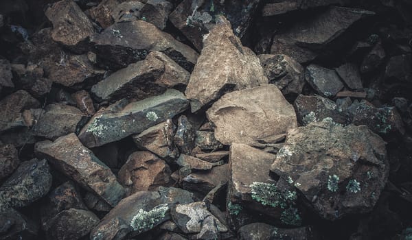 Texture, background of mountain stones covered with moss and small vegetation