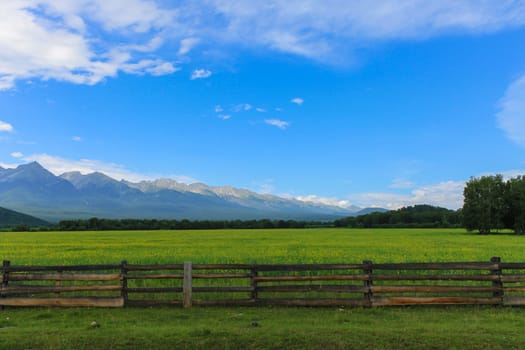 A wooden fence and a green glade against the backdrop of the mountains