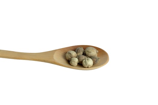 Dried Cardamom on wooden spoon, isolated in white background.