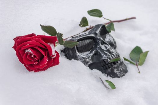 Black mask skull in the snow with a red rose as a symbol