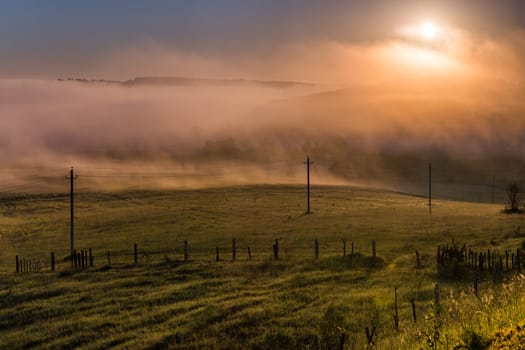 simple aerial power lines at foggy morning in summer countryside.