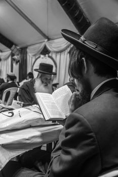 MERON, ISRAEL - MAY 26, 2016: A crowd of orthodox Jews attend, read and nap at the annual hillulah of Rabbi Shimon Bar Yochai, in Meron, Israel, on Lag BaOmer Holiday