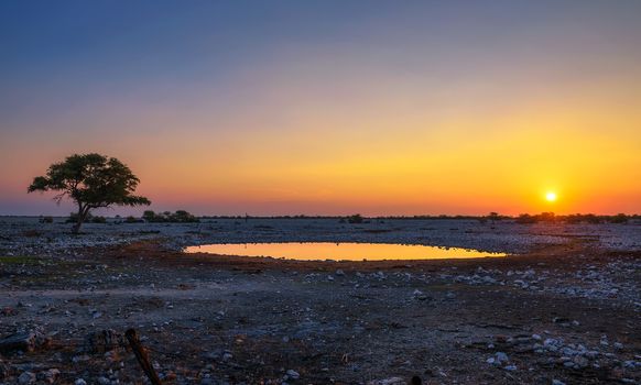 Beautiful sunset over the waterhole of Okaukuejo Campsite in Etosha National Park, Namibia