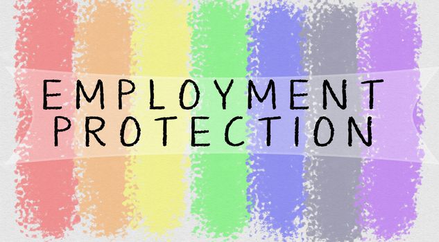 Employment protection printed on gay or LGBTQ pride flag.