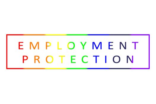 Employment protection text blended with on gay or LGBTQ pride colours