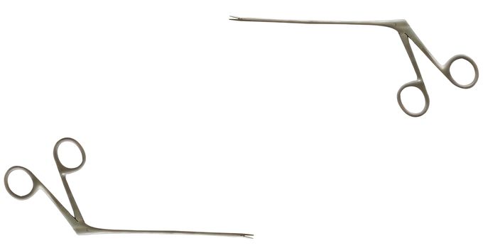 Aligator forceps or crocodile forceps on isolated background