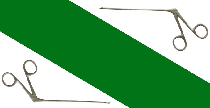 Aligator forceps or crocodile forceps on isolated background,copy space