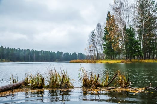 Idyllic landscape. The sky and the forest are reflected in the river.