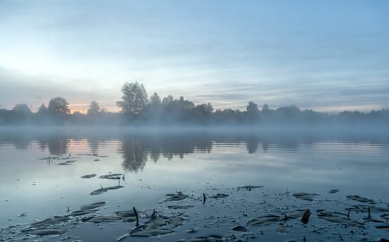 River before sunrise in the fog in the countryside