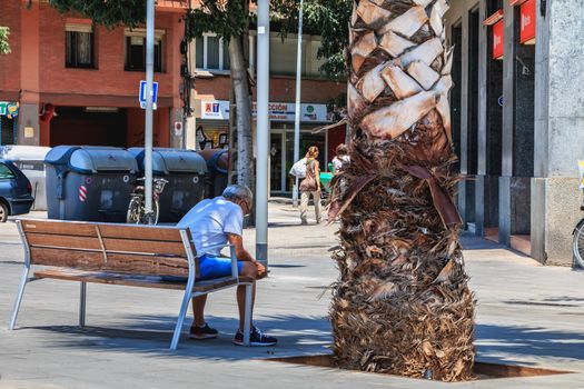 BARCELONA, SPAIN - June 21, 2017 : man sits on a bench and looks at his phone in the shade of a palm tree