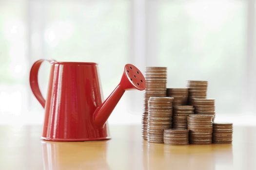 Red watering can with coin (path in side) isolate