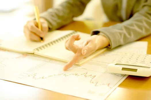 Young Businesswoman Analyzing Report On Chart With Calculator