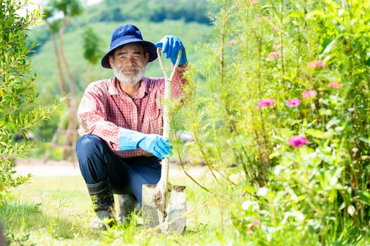 Active happy senior man working in the garden,Concept of a gardening on retirement.