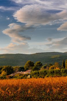 C;ouds over the Wineyard in Provence (South of France)