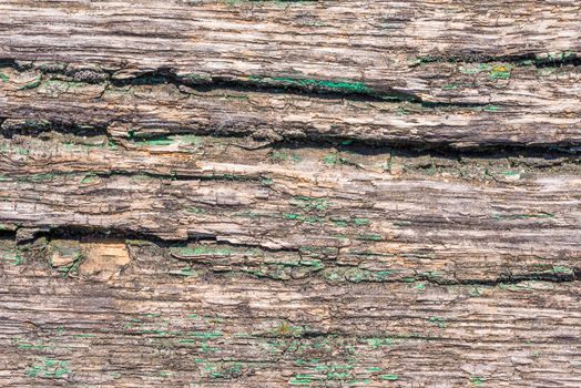 Macro photo of a wooden plank texture