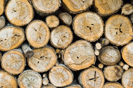 Pile of wood log. Interesting texture for background