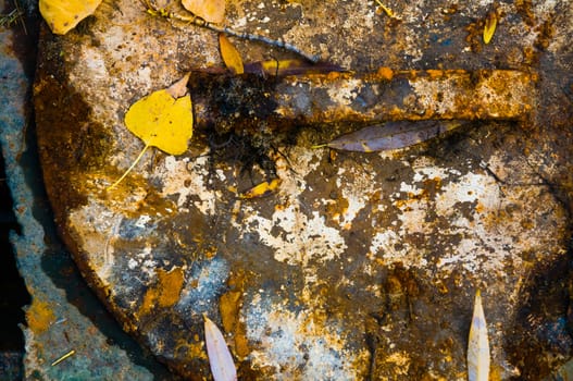 Texture of colored rust metal plate