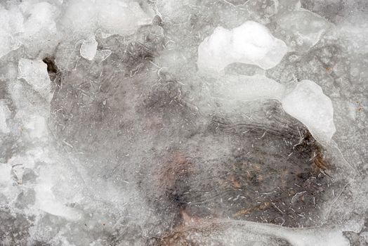 Macro of transparent ice in winter