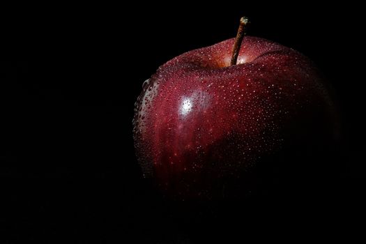 Close up fresh red Apple with water droplet isolated on black background – low key macro shoot