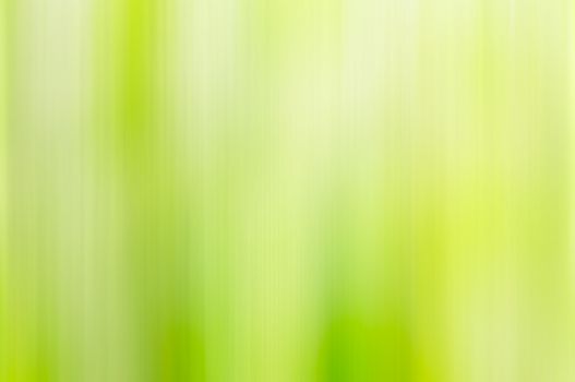 A natural green - yellow bokeh blur of flowers, herbs, plants and trees in a meadow