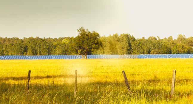 behind a meadow a large field of solar panels in France