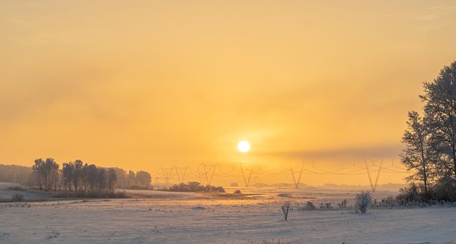 winter, frosty landscape of nature with dim evening sunlight, fog and trees covered with ice and frost